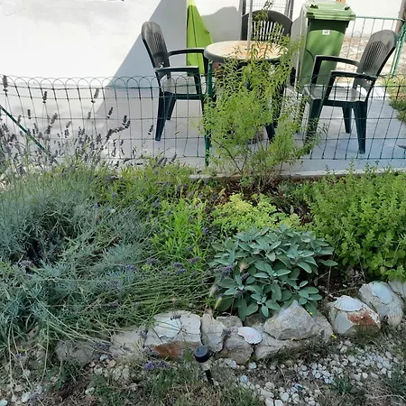 Guest House Giorgio Umag Exterior photo